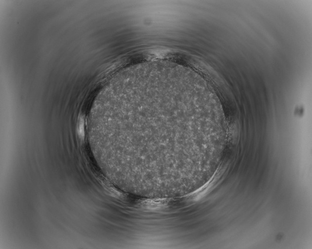 X0000097910094200804111124