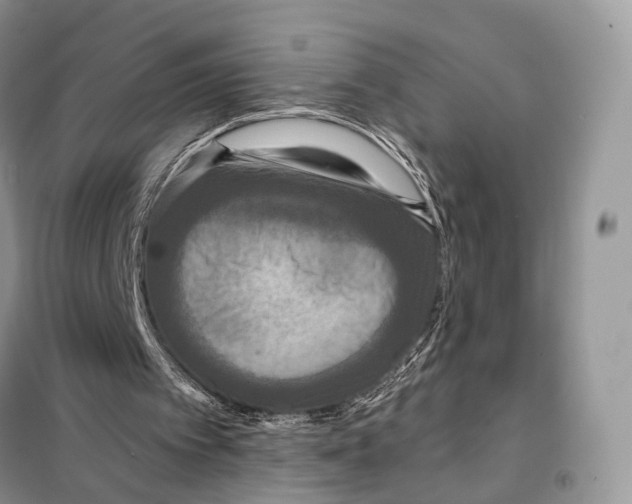 X0000097910097200804111124