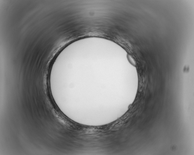 X0000097910098200804111124