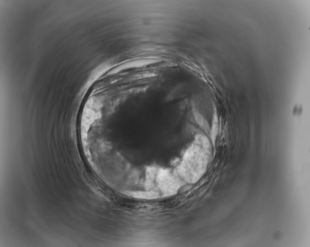 X0000097910099200804111124