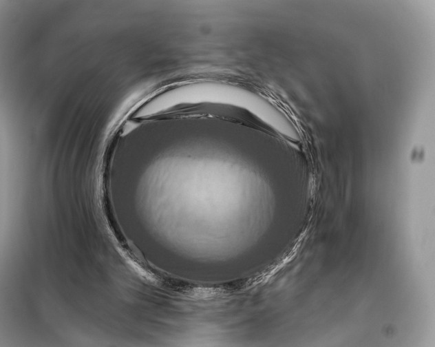 X0000097910101200804111124