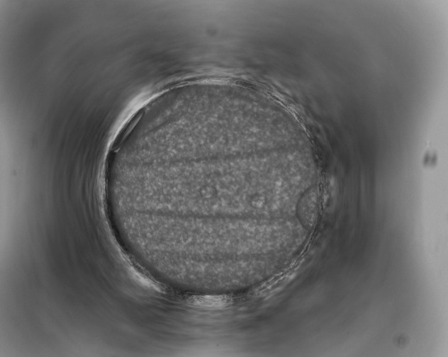 X0000097910102200804111124