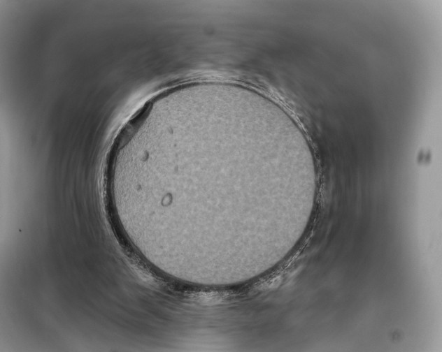 X0000097910103200804111124