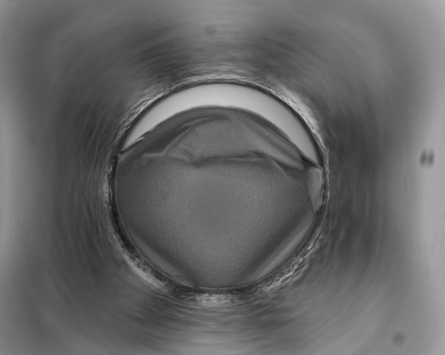 X0000097910105200804111124