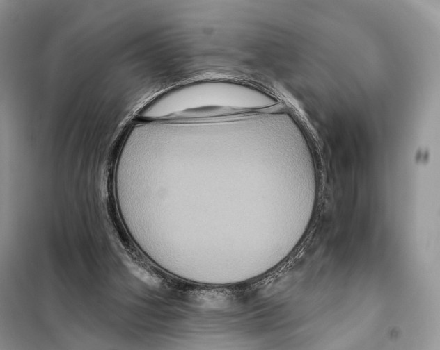 X0000097910106200804111124