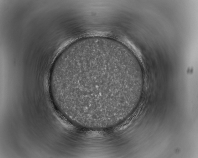 X0000097910107200804111124