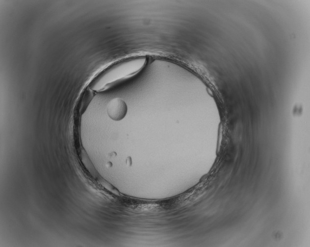 X0000097910108200804111124