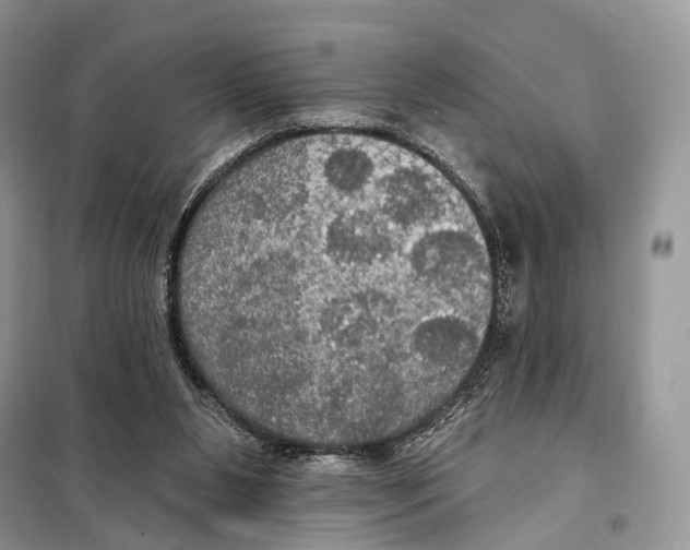 X0000097910111200804111123