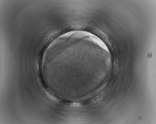 X0000097910114200804111123