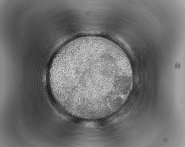 X0000097910115200804111123