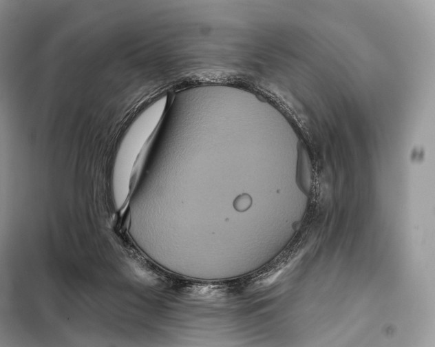 X0000097910117200804111123