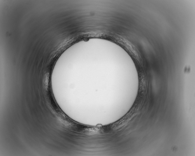 X0000097910118200804111123