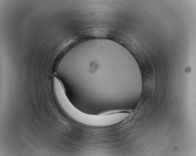 X0000097910120200804111123