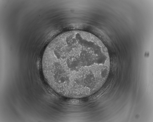 X0000097910123200804111123