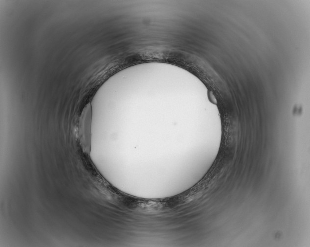 X0000097910125200804111123