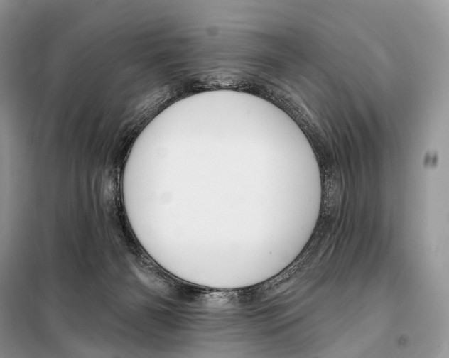 X0000097910126200804111123