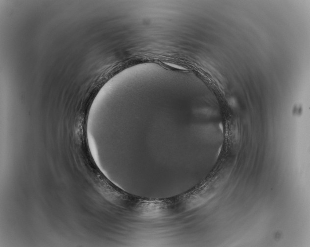 X0000097910127200804111123