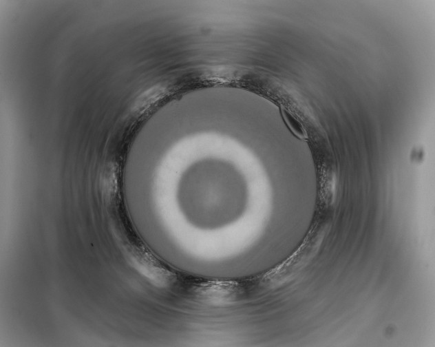 X0000097910128200804111123