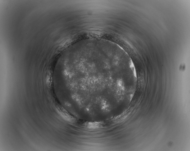 X0000097910134200804111123