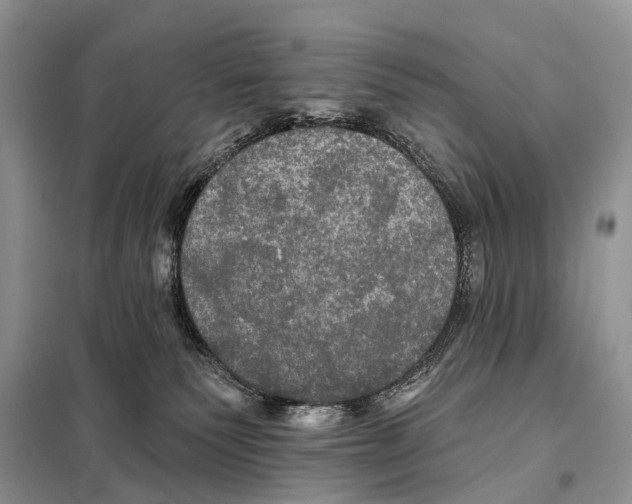 X0000097910135200804111123