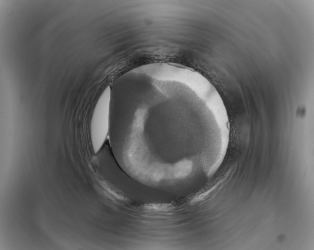 X0000097910137200804111123