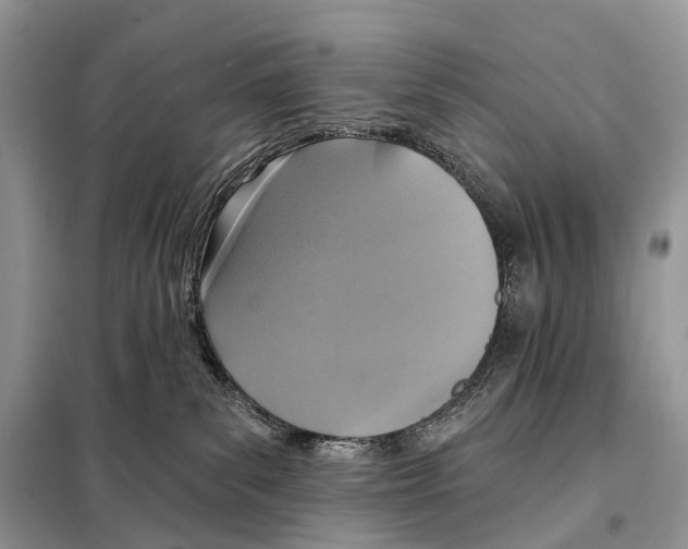 X0000097910139200804111123