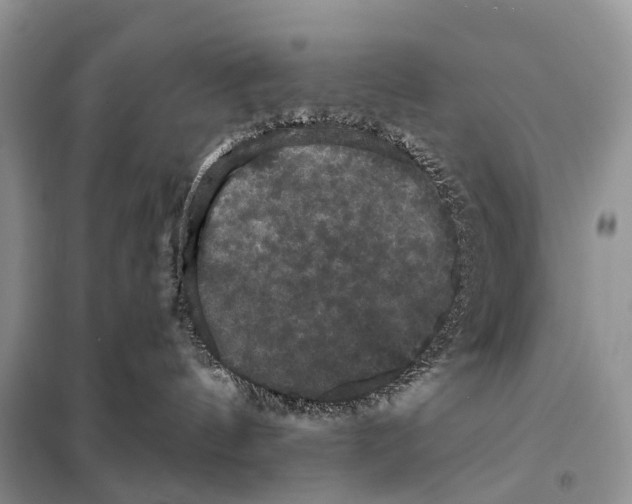 X0000097910144200804111123