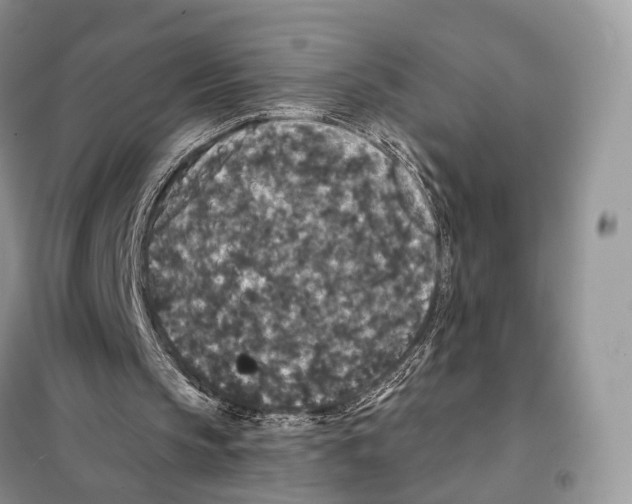 X0000097910145200804111122