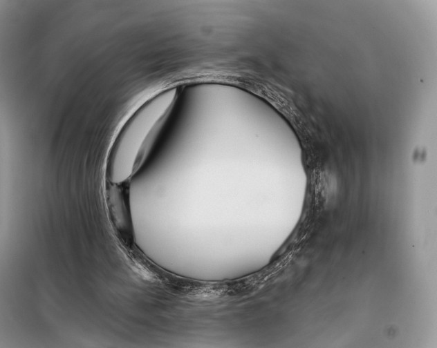 X0000097910148200804111122