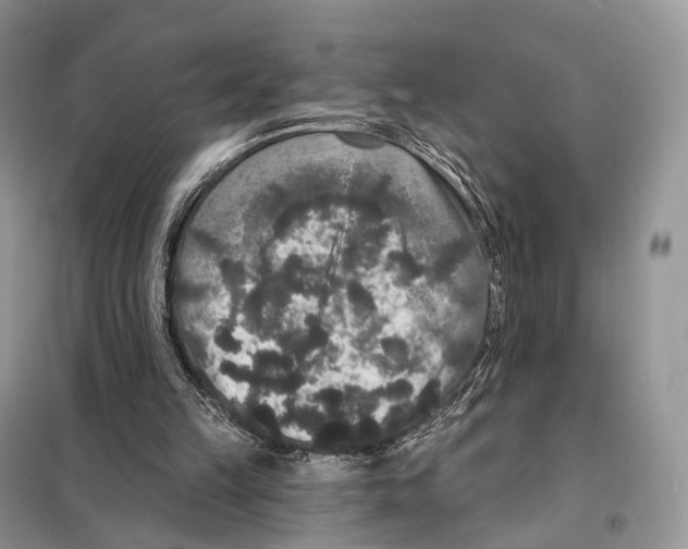 X0000097910149200804111122