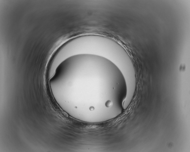 X0000097910152200804111122