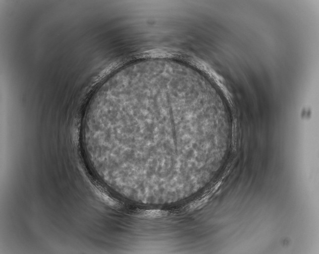 X0000097910153200804111122