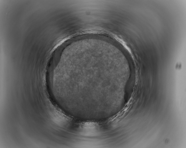 X0000097910154200804111122