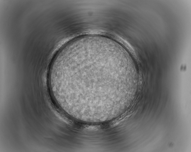 X0000097910155200804111122