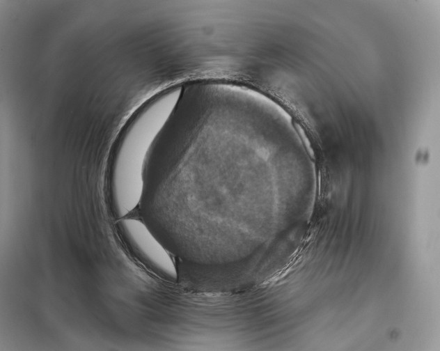 X0000097910156200804111122