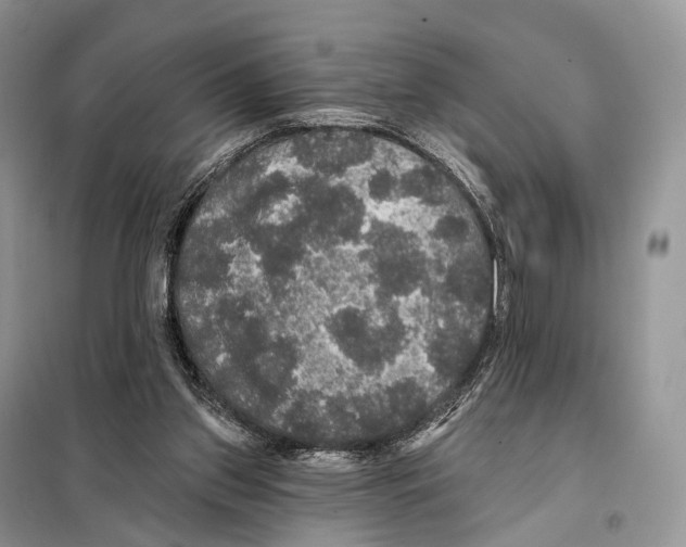 X0000097910157200804111122