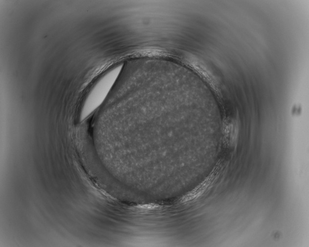 X0000097910158200804111122