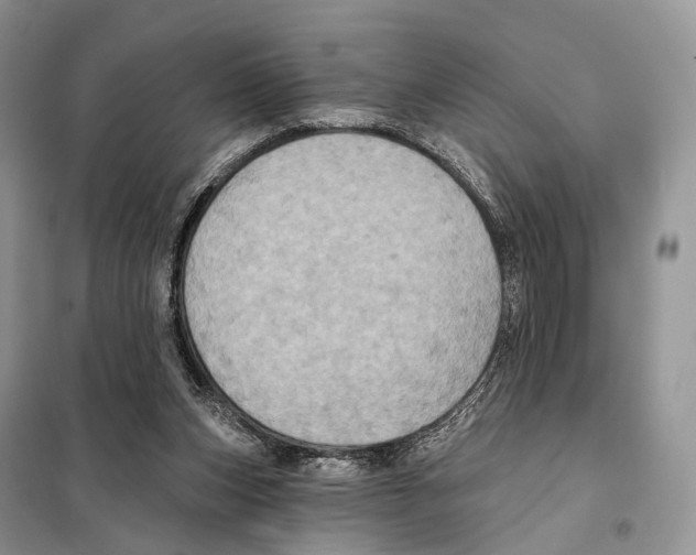 X0000097910159200804111122