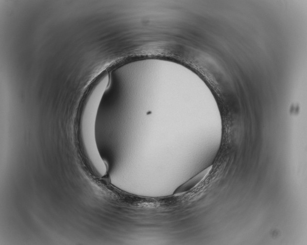 X0000097910160200804111122