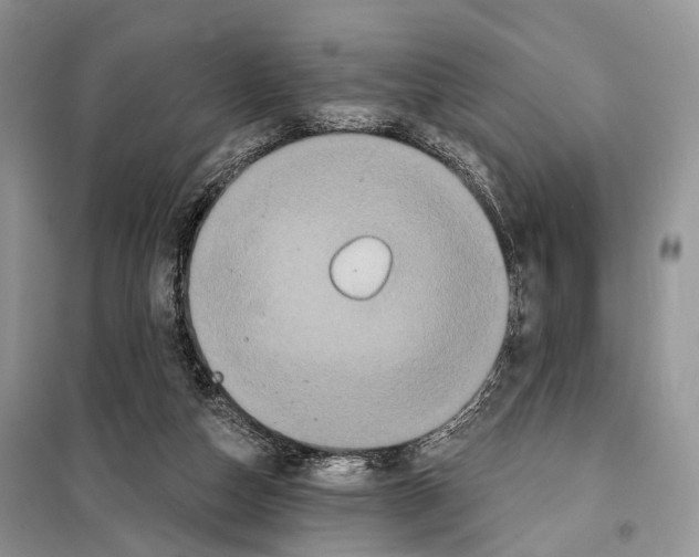 X0000097910162200804111122