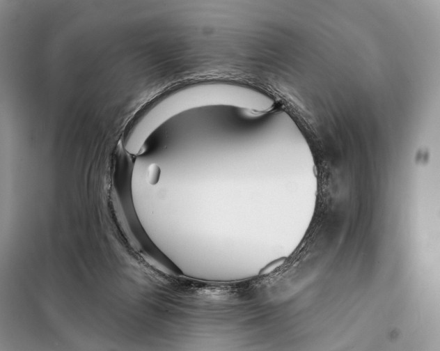 X0000097910164200804111122