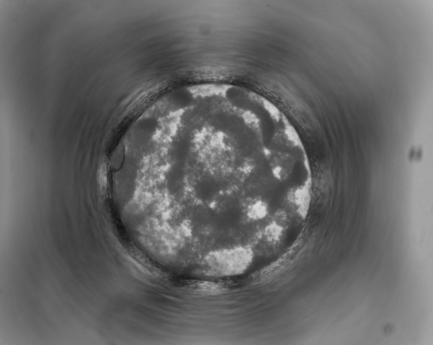 X0000097910166200804111122