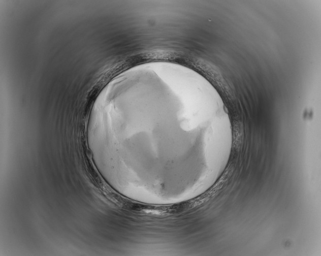 X0000097910167200804111122