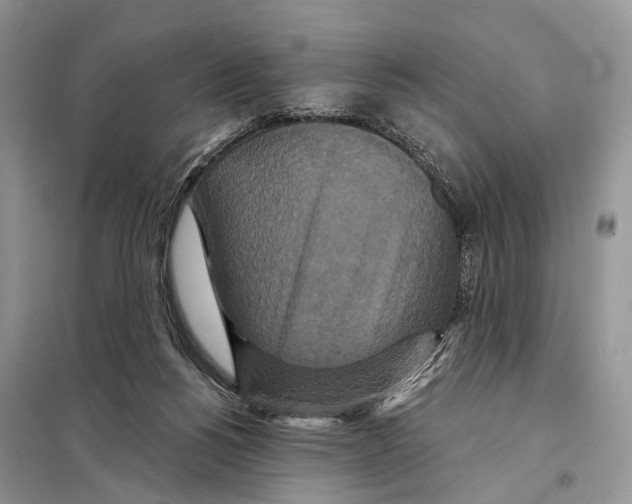 X0000097910168200804111122