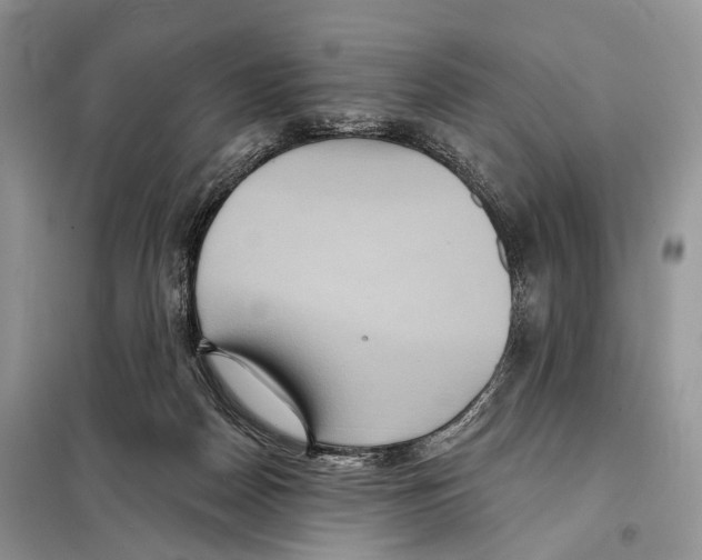 X0000097910170200804111122