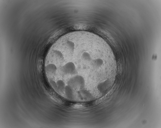 X0000097910171200804111122