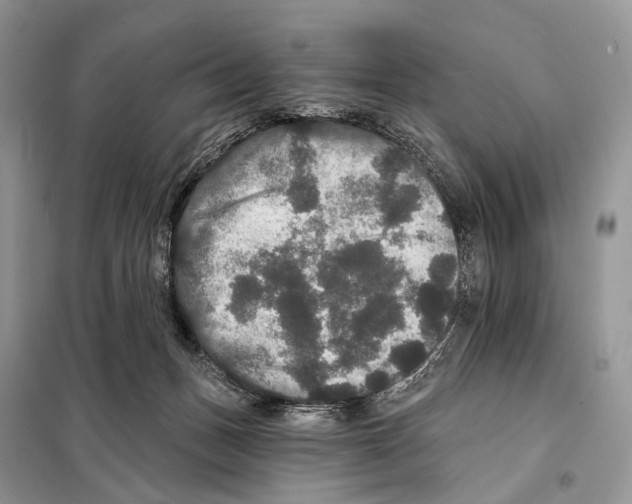 X0000097910175200804111122