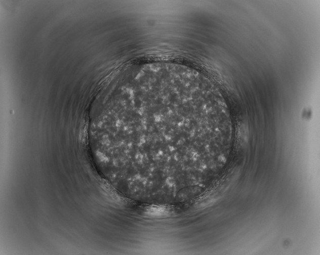 X0000097910177200804111122