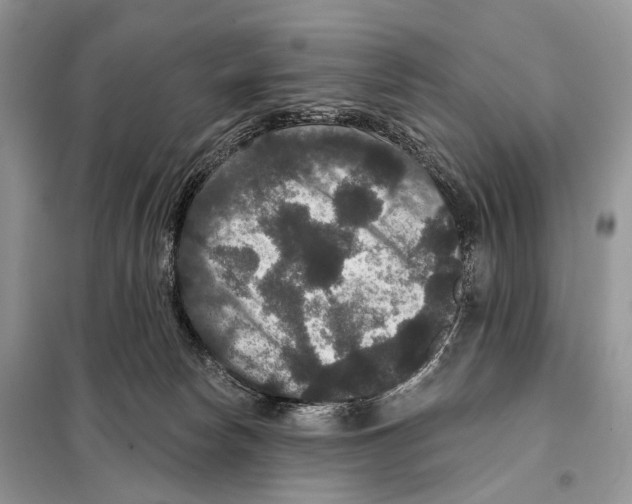 X0000097910178200804111122