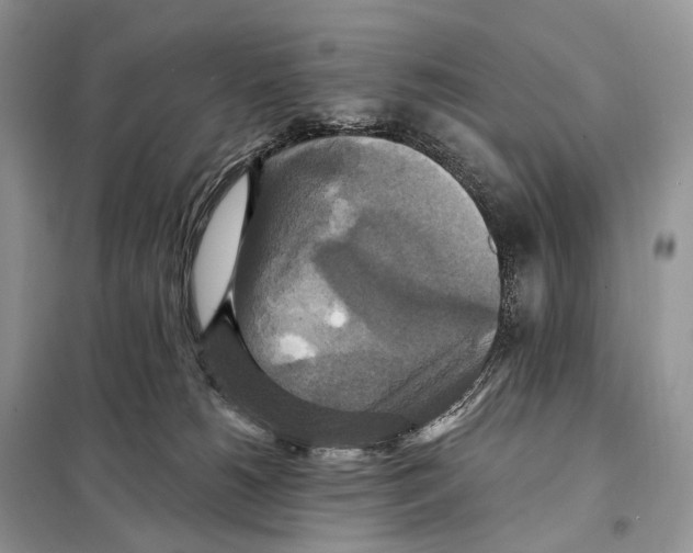 X0000097910180200804111123